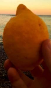 limone amalfi