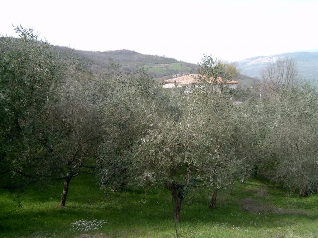 Panorama della struttura