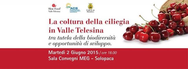 La coltura della ciliegia in Valle Telesina