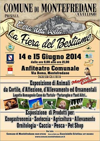 C'era Una Volta La Fiera Del Bestiame