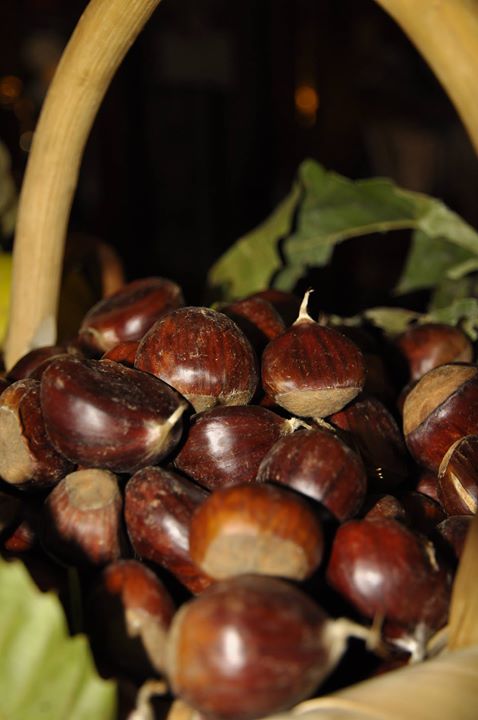 CENA D'AUTUNNO