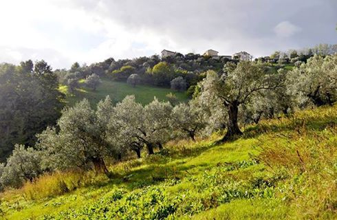 Pasquetta Presso Agriturismo San Giovanni