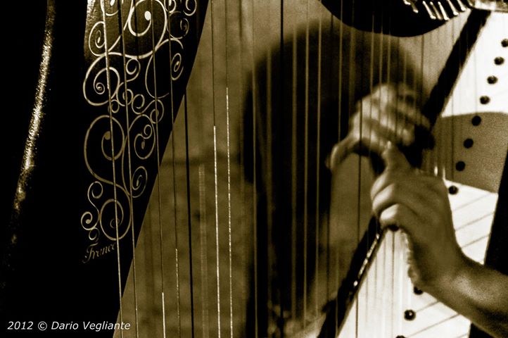 Cena di San Valentino - Armonie d'Arpa live music