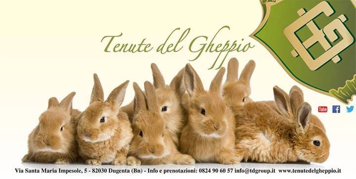 Happy Easter