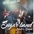Zucchero Tributo... Sugar Band