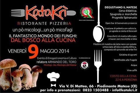 Il Fantastico Mondo Dei Funghi Presso Katakr